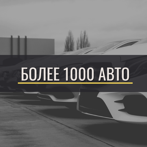 Более 1000 авто на выбор